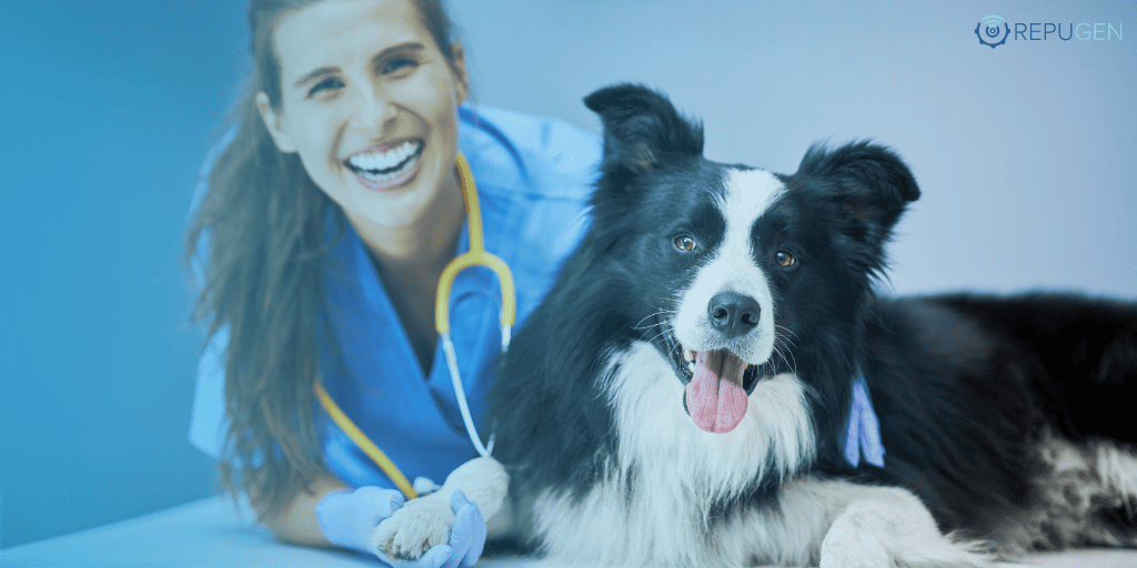 Top 6 Reputation Management Strategies for Veterinarians To Build Online Trust