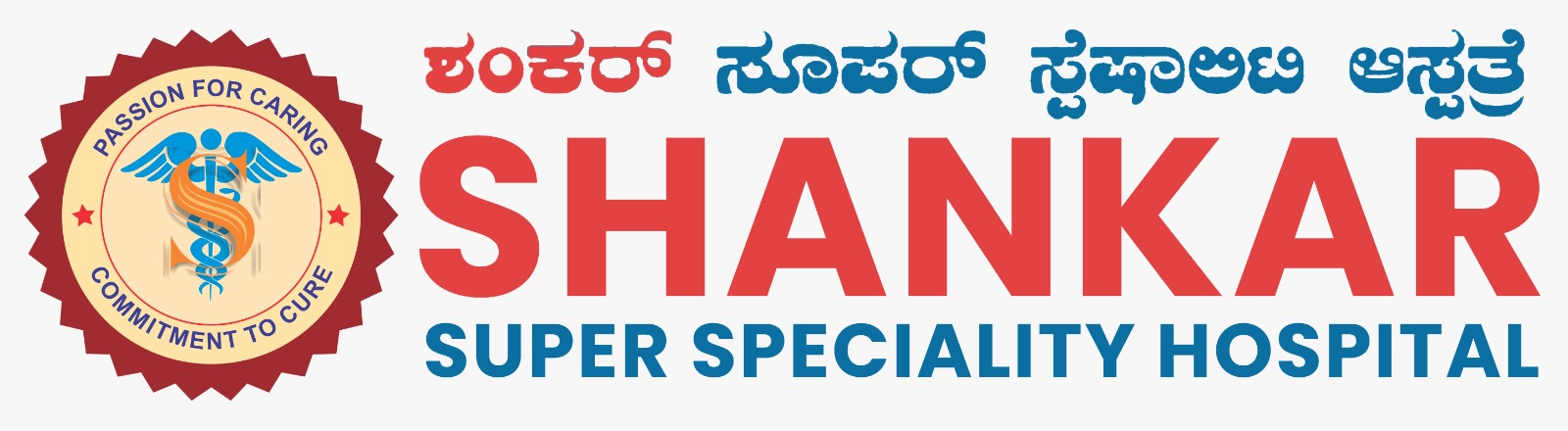 Shankar Super Speciality Hospital